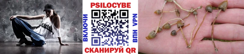 Псилоцибиновые грибы Cubensis  Апшеронск 