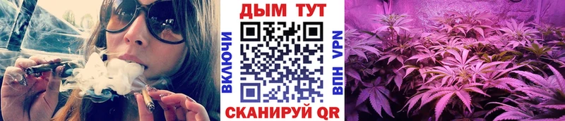 Каннабис Ganja  купить закладку  блэк спрут маркетплейс  Апшеронск 